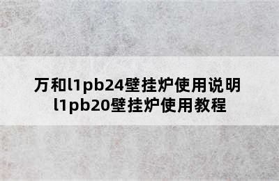 万和l1pb24壁挂炉使用说明 l1pb20壁挂炉使用教程